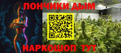 индика Кимры